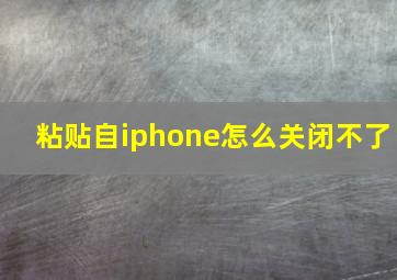 粘贴自iphone怎么关闭不了