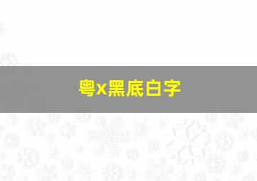 粤x黑底白字