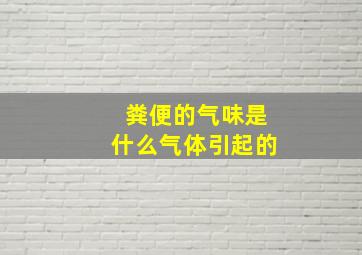 粪便的气味是什么气体引起的