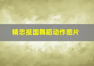 精忠报国舞蹈动作图片