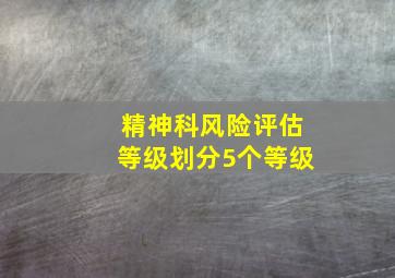 精神科风险评估等级划分5个等级