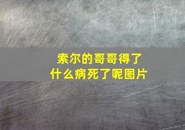 索尔的哥哥得了什么病死了呢图片