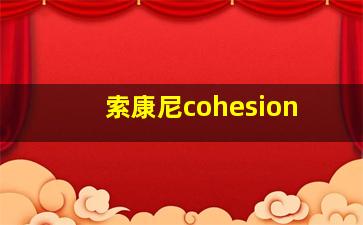 索康尼cohesion