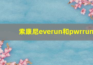 索康尼everun和pwrrun