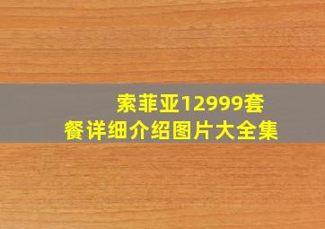 索菲亚12999套餐详细介绍图片大全集