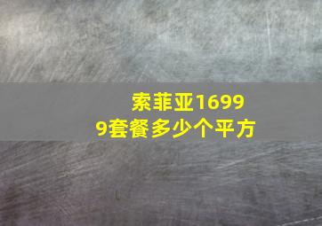 索菲亚16999套餐多少个平方