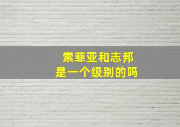 索菲亚和志邦是一个级别的吗