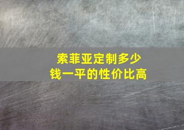 索菲亚定制多少钱一平的性价比高