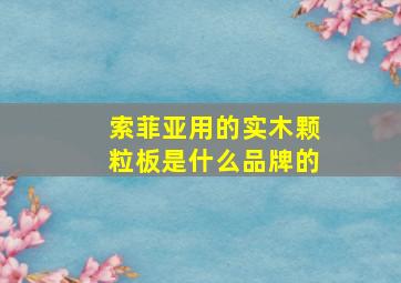 索菲亚用的实木颗粒板是什么品牌的