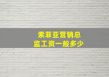 索菲亚营销总监工资一般多少