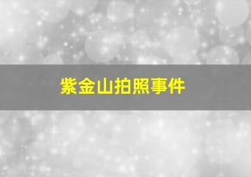 紫金山拍照事件