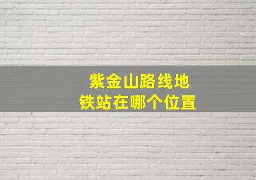 紫金山路线地铁站在哪个位置