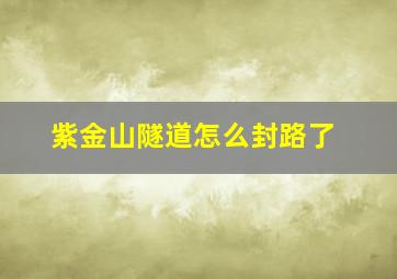 紫金山隧道怎么封路了