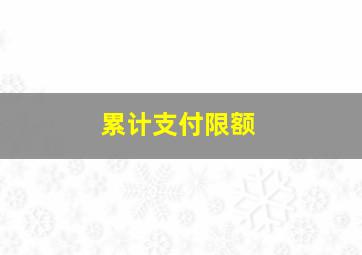 累计支付限额