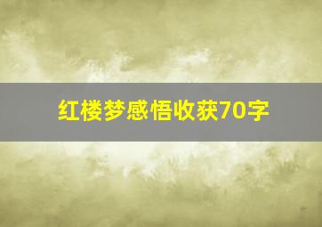 红楼梦感悟收获70字