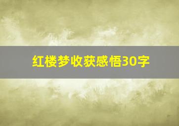 红楼梦收获感悟30字