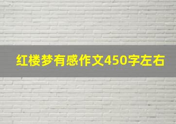 红楼梦有感作文450字左右