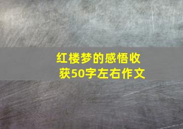 红楼梦的感悟收获50字左右作文