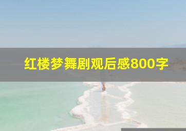 红楼梦舞剧观后感800字