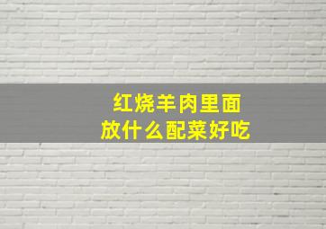 红烧羊肉里面放什么配菜好吃