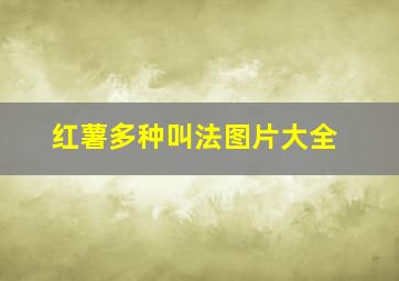 红薯多种叫法图片大全