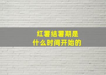 红薯结薯期是什么时间开始的