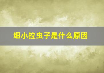 细小拉虫子是什么原因