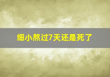 细小熬过7天还是死了