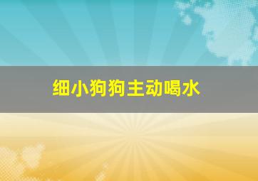 细小狗狗主动喝水