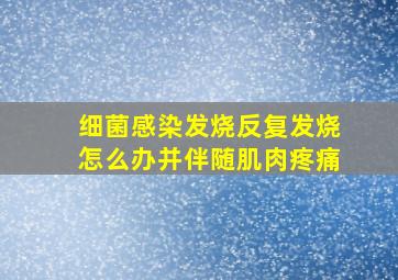 细菌感染发烧反复发烧怎么办并伴随肌肉疼痛