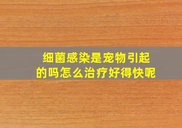 细菌感染是宠物引起的吗怎么治疗好得快呢