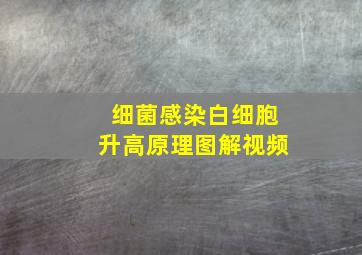 细菌感染白细胞升高原理图解视频