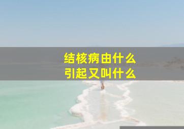 结核病由什么引起又叫什么