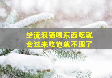 给流浪猫喂东西吃就会过来吃饱就不理了