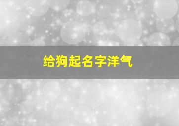 给狗起名字洋气