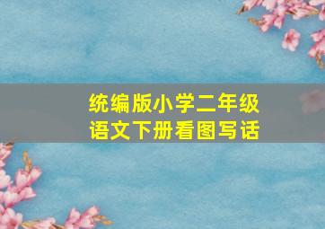 统编版小学二年级语文下册看图写话