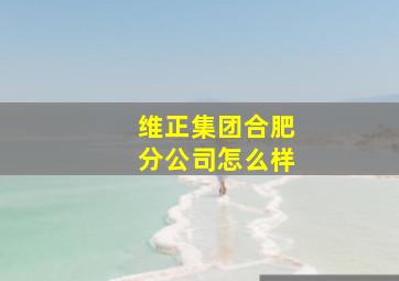 维正集团合肥分公司怎么样