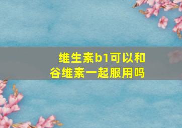 维生素b1可以和谷维素一起服用吗