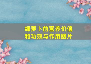 绿萝卜的营养价值和功效与作用图片