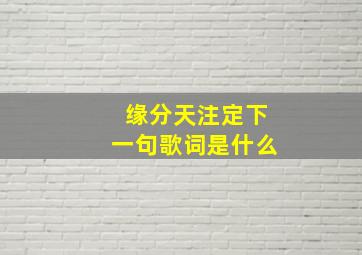 缘分天注定下一句歌词是什么