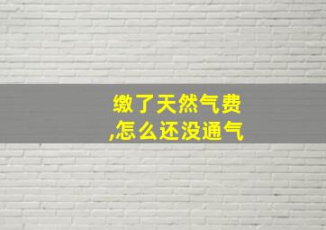 缴了天然气费,怎么还没通气