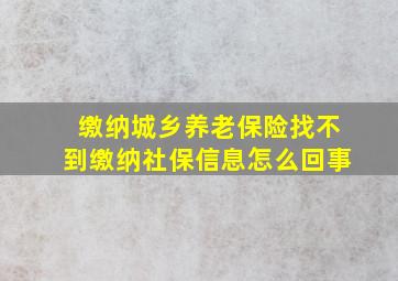 缴纳城乡养老保险找不到缴纳社保信息怎么回事