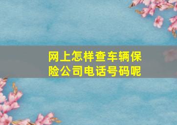 网上怎样查车辆保险公司电话号码呢