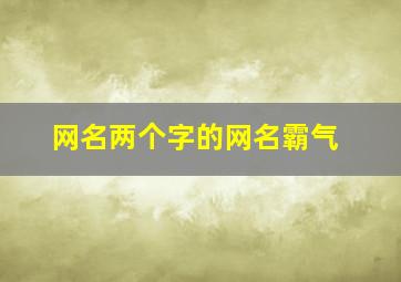 网名两个字的网名霸气