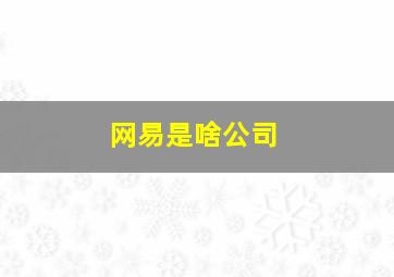 网易是啥公司