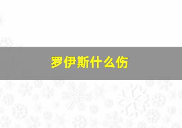 罗伊斯什么伤