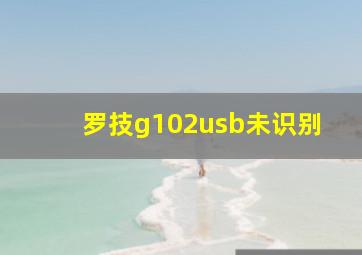 罗技g102usb未识别