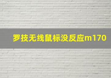 罗技无线鼠标没反应m170