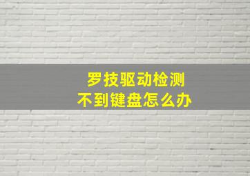 罗技驱动检测不到键盘怎么办