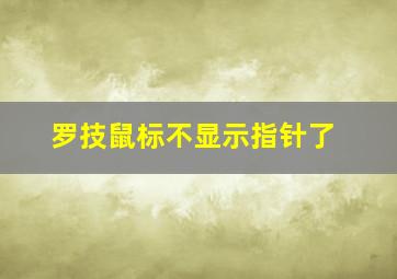 罗技鼠标不显示指针了